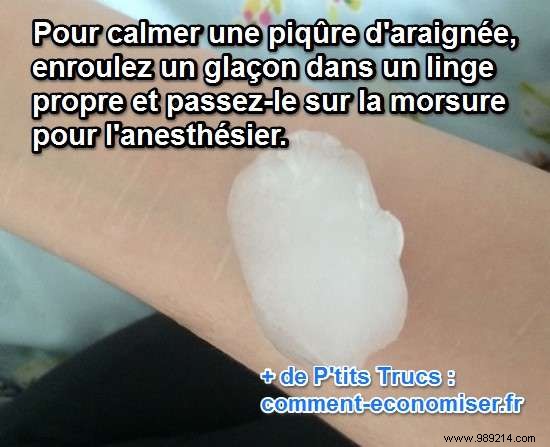 Quick Ice Trick to Relieve Spider Bite Pain and Itching Instantly