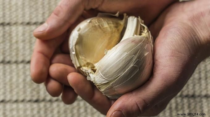 13 Proven Garlic Uses for Health, Beauty, and Home Remedies