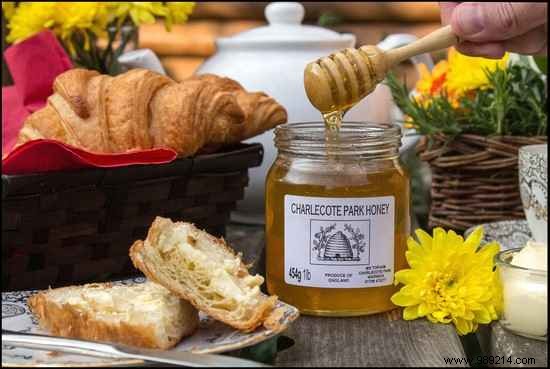 3 Natural Sugar Substitutes for Better Health and Long-Term Savings