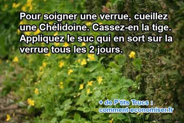 4 Proven Natural Remedies for Warts: Surprising Home Treatments That Work