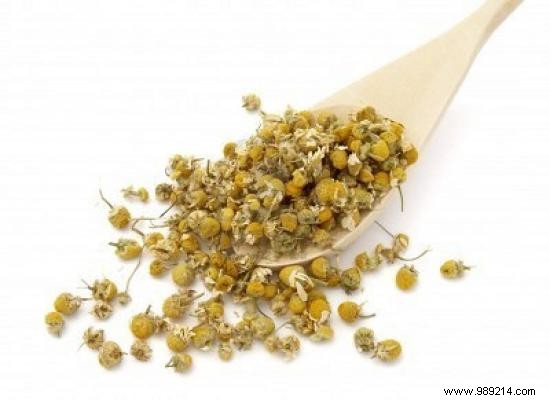 8 Proven Homemade Poultice Remedies for Everyday Ailments