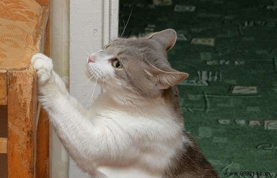 18 Proven Vicks VapoRub Uses for Coughs, Pain Relief, Skin Care, and More