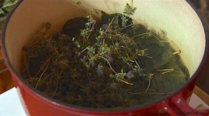 Time-Tested Grandma s Herbal Tea for Fast Bronchitis Relief