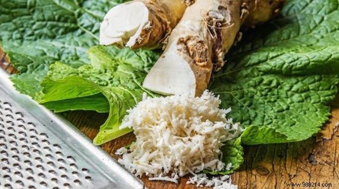 Effective Natural Remedy for Flu-Related Body Aches: Horseradish and Olive Oil