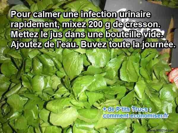 Quick Natural Relief for UTI Pain: Grandmother s Watercress Remedy