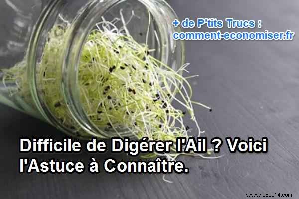 Struggling to Digest Garlic? Sprout It for Easy Digestion and Maximum Health Benefits