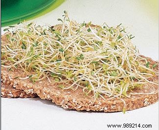 Struggling to Digest Garlic? Sprout It for Easy Digestion and Maximum Health Benefits