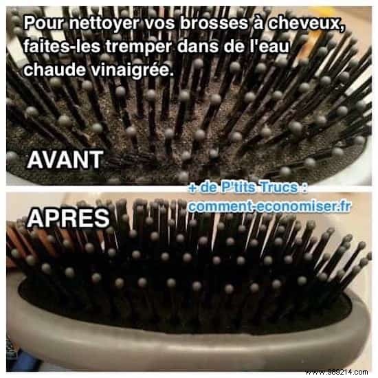Easy Vinegar Method: Clean and Disinfect Your Greasy Hairbrush in Minutes