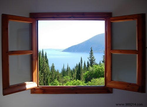 6 Proven Natural Remedies to Ease Flu Symptoms and Speed Recovery