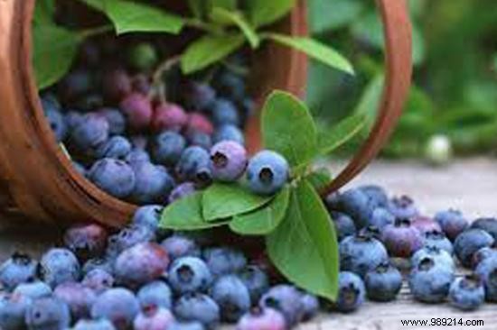 4 Proven Natural Remedies to Quickly Relieve Gastroenteritis Symptoms