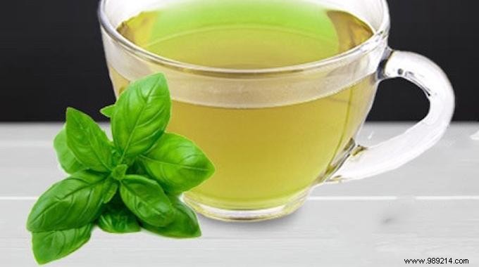 8 Proven Herbal Infusions for Natural Relief: Anxiety, Sleep, Colds & More