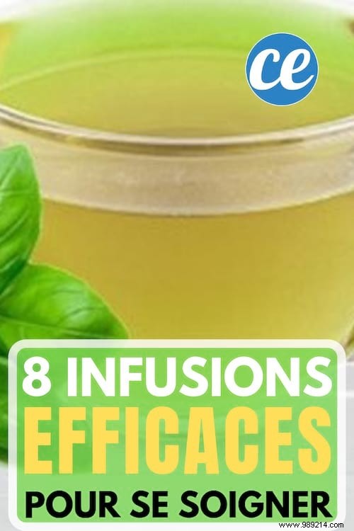 8 Proven Herbal Infusions for Natural Relief: Anxiety, Sleep, Colds & More