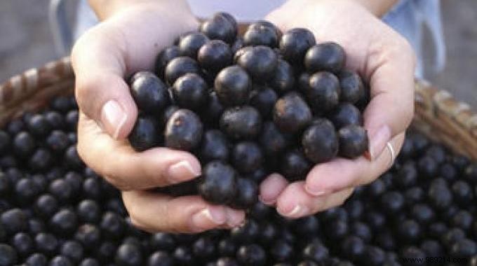 3 Key Health and Weight Loss Benefits of Acai Berries, Backed by Real Experience