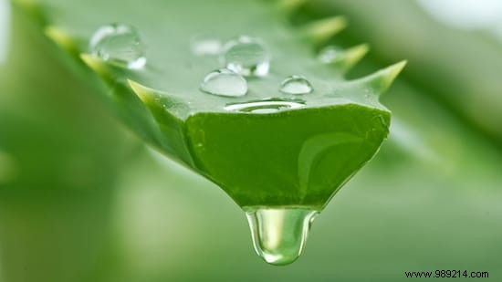 Easy Homemade Anti-Constipation Candies: A Nurse s Proven Recipe for Relief