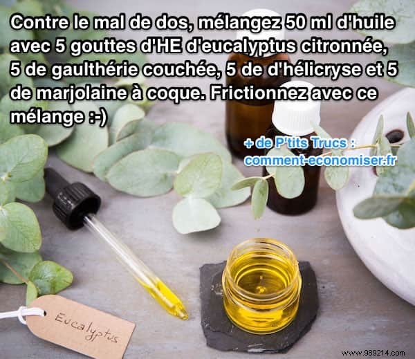 Back Pain Relief: My Physiotherapist s Recommended Essential Oil Blend