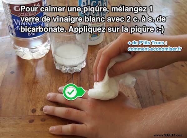 Fast Relief for Insect Bites: Baking Soda and Vinegar Home Remedy