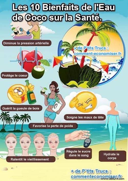 10 Science-Backed Benefits of Coconut Water for Optimal Health