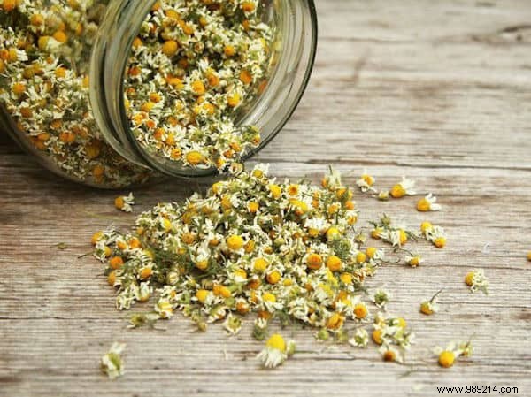 7 Expert Natural Remedies to Banish Dark Circles and Restore Radiant Eyes