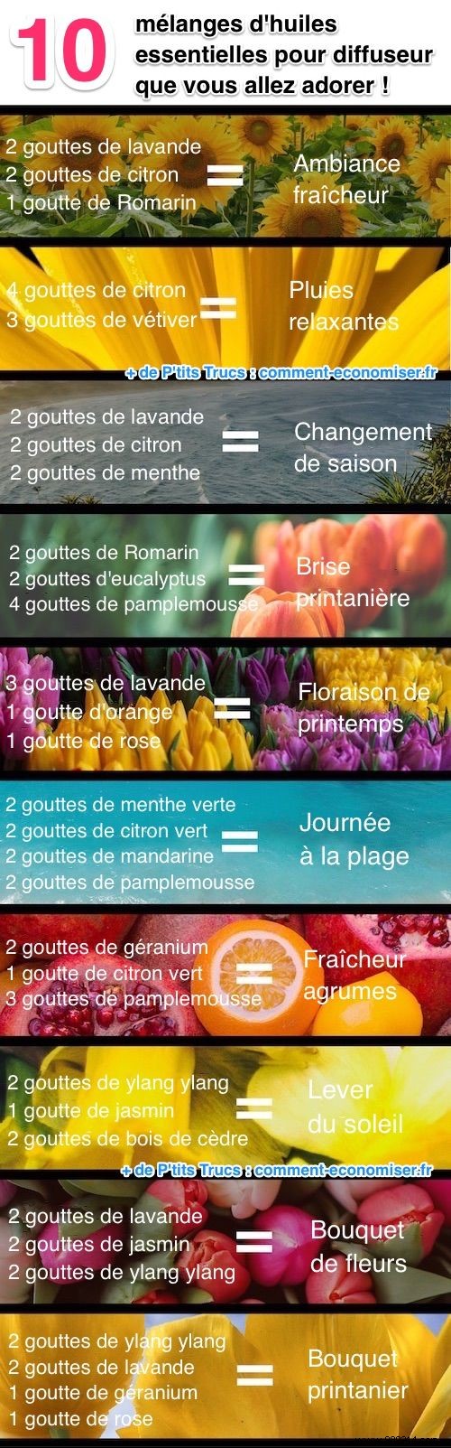 10 Expert Essential Oil Diffuser Blends for a Fresh, Relaxing Home