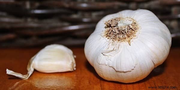 11 Science-Backed Foods to Boost Your Immune System and Enhance Overall Health