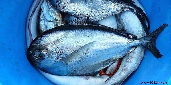 11 Science-Backed Foods to Boost Your Immune System and Enhance Overall Health