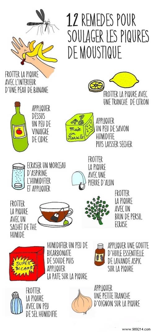 12 Proven Home Remedies to Instantly Soothe Mosquito Bites