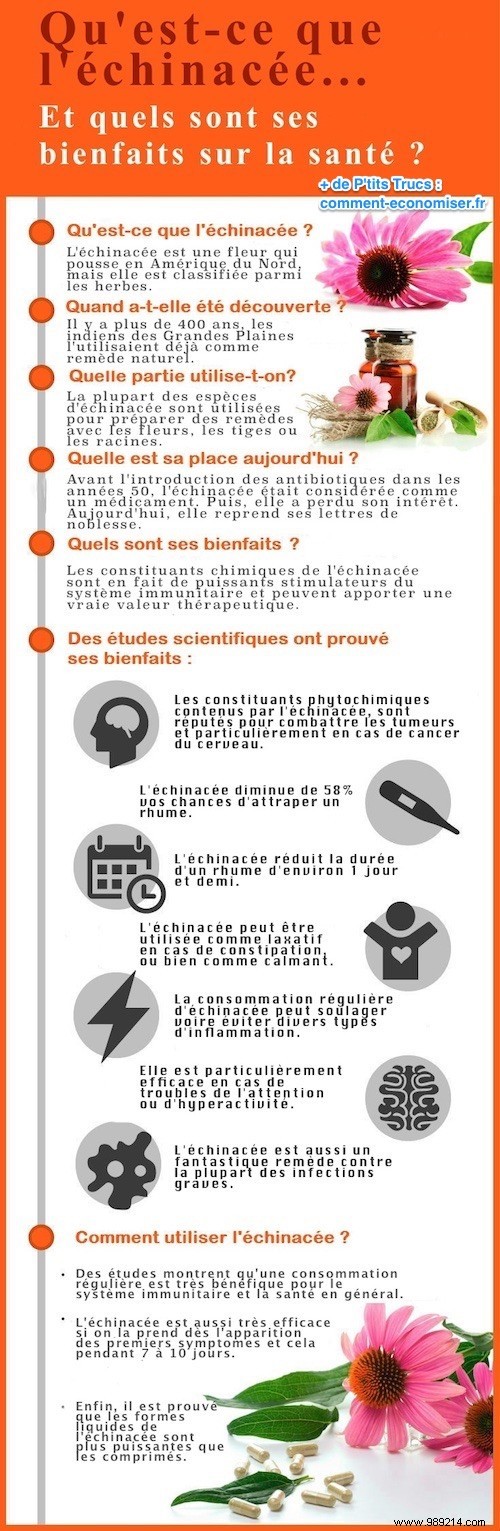 9 Science-Backed Health Benefits of Echinacea for Immunity, Skin, and More