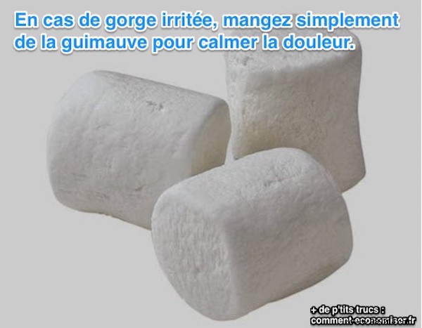 22 Time-Tested Grandma s Remedies for Sore Throat Relief