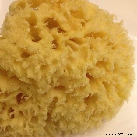 Dermatologists Warn: Ditch Your Shower Puff Immediately for Healthier Skin