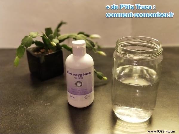 22 Proven Natural Remedies for Fast Sore Throat Relief