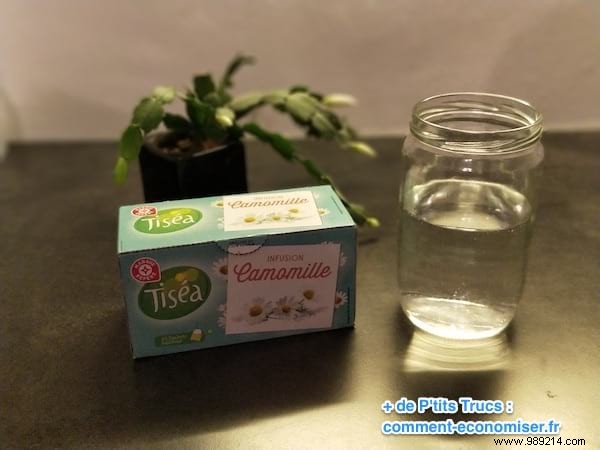 22 Proven Natural Remedies for Fast Sore Throat Relief