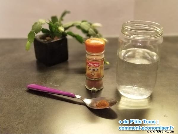 22 Proven Natural Remedies for Fast Sore Throat Relief