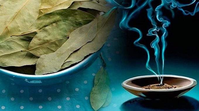 Unlock Relaxation: Burn Bay Leaves at Home for Proven Stress Relief in 10 Minutes