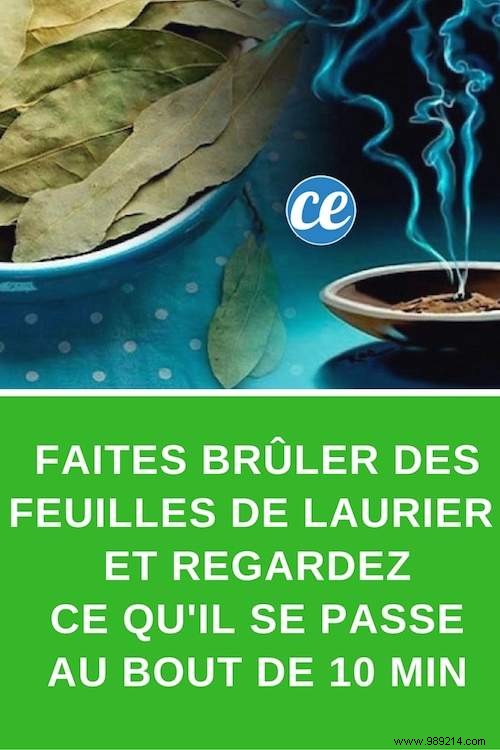 Unlock Relaxation: Burn Bay Leaves at Home for Proven Stress Relief in 10 Minutes