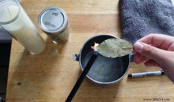 Unlock Relaxation: Burn Bay Leaves at Home for Proven Stress Relief in 10 Minutes