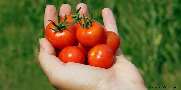 10 Proven Natural Remedies for Skin Blemishes and Imperfections