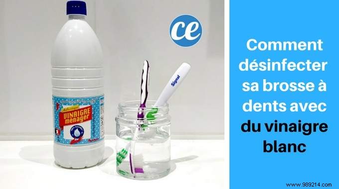 How to Disinfect and Sterilize Your Toothbrush with White Vinegar: Simple Expert Guide