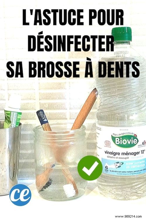 How to Disinfect and Sterilize Your Toothbrush with White Vinegar: Simple Expert Guide