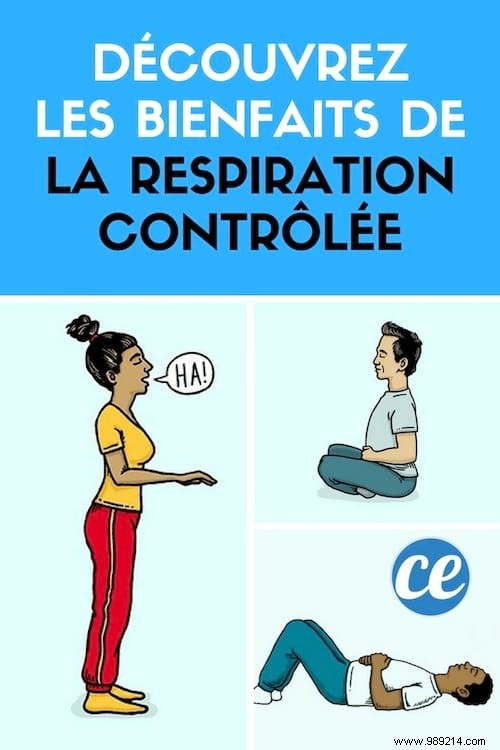 Master Controlled Breathing: Science-Backed Benefits for Stress Relief, Immunity, and Mental Health