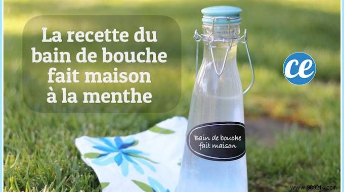 Natural Homemade Mouthwash Recipe: Achieve Lasting Fresh Breath Effortlessly