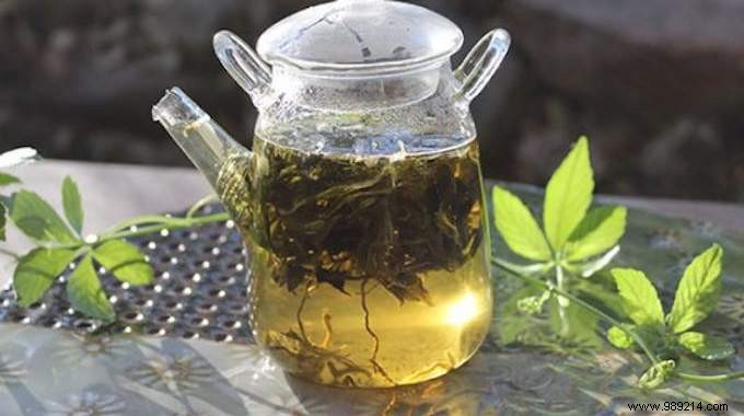 Grandma s Time-Tested Herbal Tea for Fast Diarrhea Relief