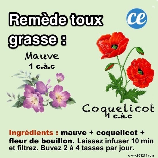 Grandma s Proven Herbal Tea for Fast Wet Cough Relief