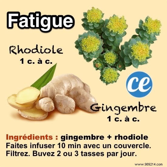 Beat Fatigue Naturally: Grandma s Ginger and Rhodiola Tea Recipe