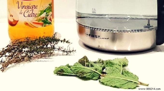 Ditch Fervex: Grandma s Proven Natural Flu Remedy with Thyme, Mint, and Apple Cider Vinegar