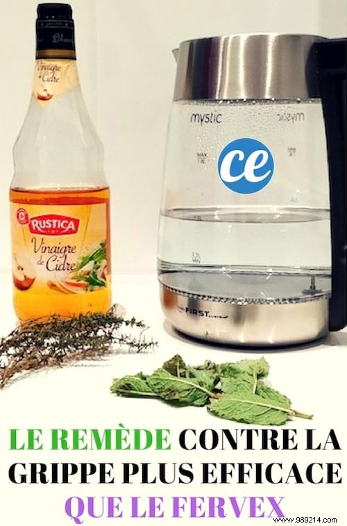 Ditch Fervex: Grandma s Proven Natural Flu Remedy with Thyme, Mint, and Apple Cider Vinegar