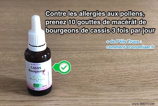 Relieve Pollen Allergies Naturally: Blackcurrant Bud Macerate from My Trusted Herbalist