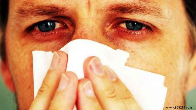 Relieve Pollen Allergies Naturally: Blackcurrant Bud Macerate from My Trusted Herbalist