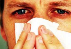 Relieve Pollen Allergies Naturally: Blackcurrant Bud Macerate from My Trusted Herbalist