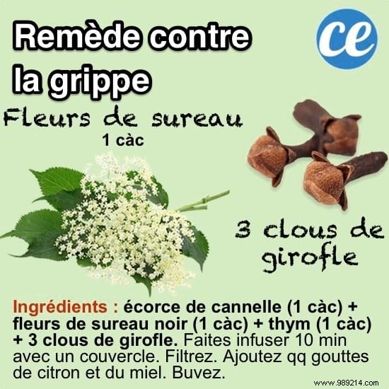 10 Time-Tested Grandmother s Remedies for Everyday Ailments