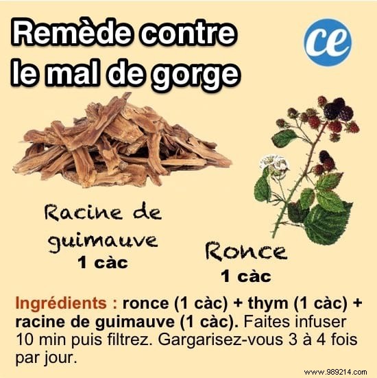 10 Time-Tested Grandmother s Remedies for Everyday Ailments